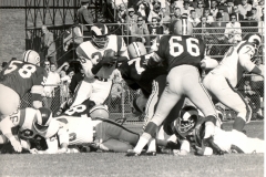ray-packer14