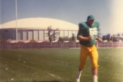 ray-packer3