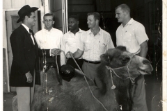 rayand-jamesgarner